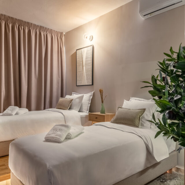 Num Lofts Athens - Budget Twin Suite