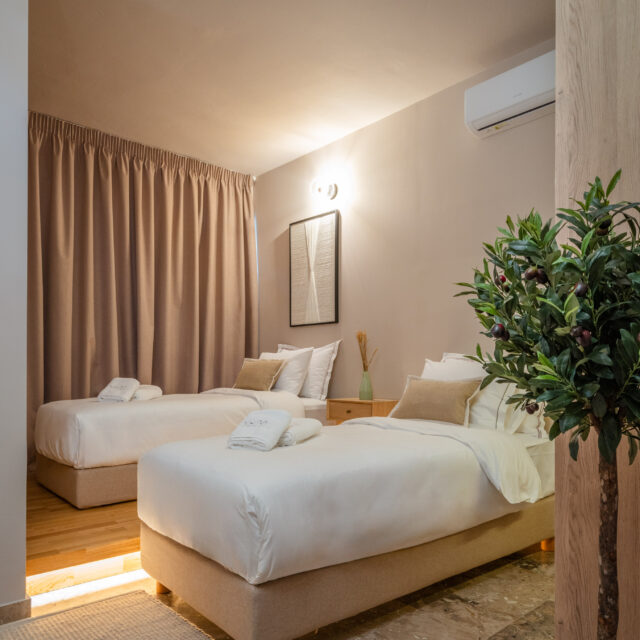 Num Lofts Athens - Budget Twin Suite